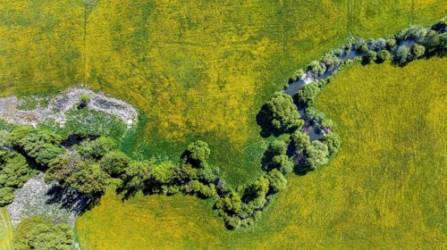 Natural monument on the Rot. Aerial view. The stream meanders through the spring landscape near