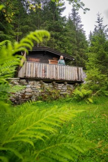 A hut in the forest, surrounded by green ferns. A person stands on the veranda and enjoys nature,