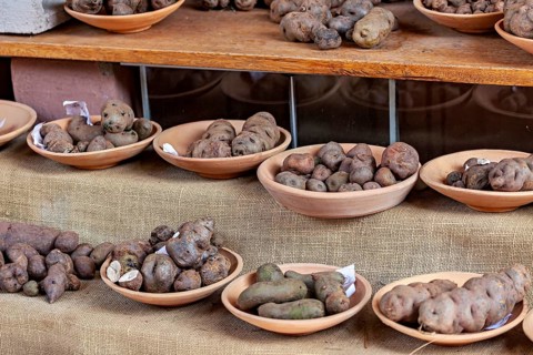 Different potatoes in clay bowls on a wooden shelf, rustic market stand atmosphere, different types