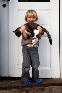 Little boy, three years old, with a cat in his arms, Othenstorf, Mecklenburg-Vorpommern, Germany
