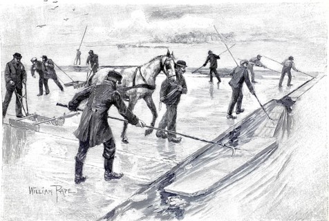 Extraction of natural ice for cooling, squaring with ice plowing and rafting the ice sheets, 1880,