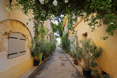 Idyllic narrow alley with flower pots, decoration and shutters, Arles, Bouches-du-Rhône, Camargue,