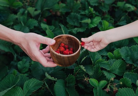 Two hands are exchanging a wooden bowl filled with strawberries. The background features lush green