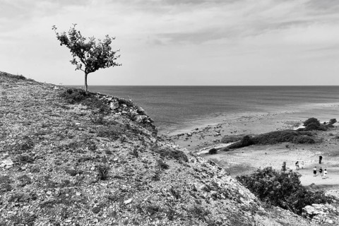 Reef limestone cliffs, coastline, rock formation, monochrome, Hoburgsgubben, Hoburgen, south of the