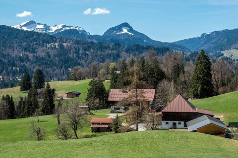 View from Oytalstraße, back left Hoher Ifen, Oberstdorf, Oberallgäu, Allgäu, Bavaria, Germany