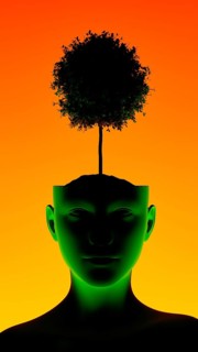 A silhouette of a human head features a vibrant tree emerging from the top, symbolizing thought,