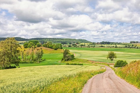 Winding dirt road leading through gently rolling fields of green and crops on the farmland.
