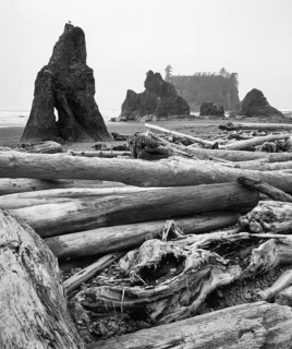 Massive driftwood logs cover the rocky shore of Ruby Beach, while dramatic sea stacks rise in the