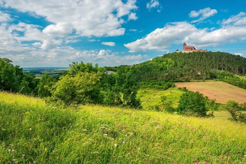 View over a species-rich wildflower meadow of Wachsenburg Castle, blue sky with cumulus clouds,