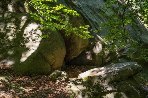 Shadows cast by green beech branches on rocks, Ore Mountains, Czech Republic, May 2024