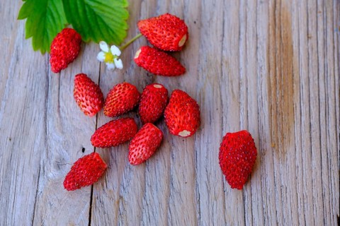 Walderdbeeren, Fruits, Food, Upper Bavaria, Bavaria, Germany