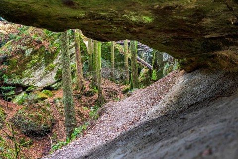 Winter atmosphere in the Hägeles- und Brunnenklinge nature reserve in the Swabian-Franconian