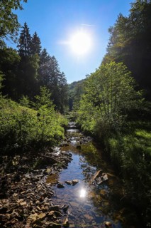 Ennepetal, North Rhine-Westphalia, Germany - Hülsenbecker Tal, Hülsenbecke stream, local recreation