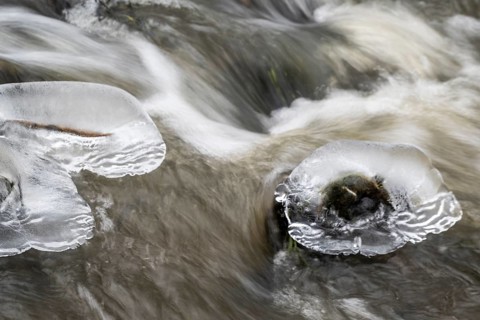 Natural ice sculptures on a stream, Emsland, Lower Saxony, Germany