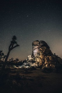 Starry sky with the Milky Way in Joshua Tree National Park
