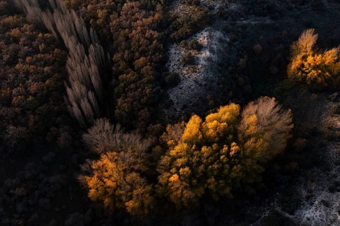 A stunning aerial photograph captures the vibrant colors of a forest in autumn. Shades of gold,