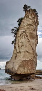Single tall rock tower with vegetation on the beach, covered by a dramatic sky, Cathedral Grove,