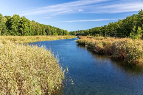 The sea bays extend long and narrow into the interior of the east coast, Gamleby, Kalmar län,