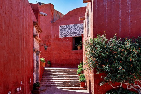 An inviting area with red walls, a staircase and green plants in the sunlight, Santa Catalina