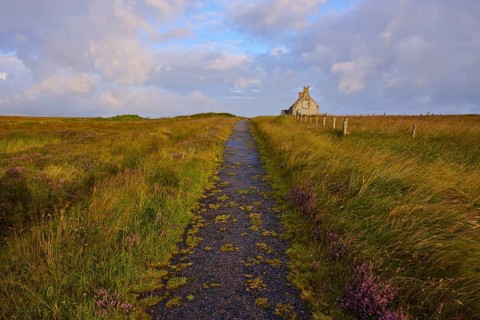 A narrow path leads to a lonely stone house in the middle of a vast meadow landscape under cloudy