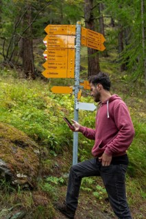 A man walks through a lush Swiss forest in autumn, consulting a smartphone. He wears a casual