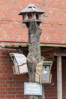Nesting boxes in Strandkorbart and feeding house on a tree trunk, Amrum, Schleswig-Holstein,