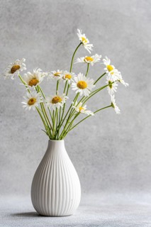 Graceful white daisies elegantly displayed in a ribbed ceramic vase against a soft gray background,