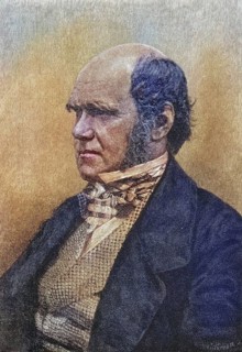 Charles Darwin, 1809?1882, 45 years old. British naturalist. After a photograph (1854?) by Maull