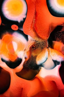 A vibrant abstract painting with dynamic orange, red, and yellow hues blending seamlessly. Organic
