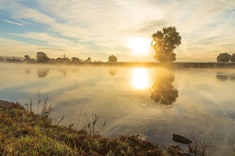 Morning with fog on the Elbe at sunrise, Radebeul, Saxony, Germany