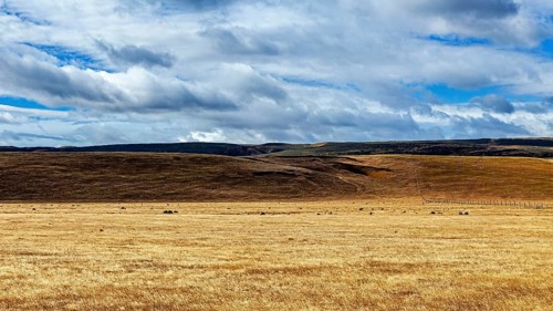 Open golden fields against a hilly mountain backdrop under a cloudy sky, The endless expanse of the
