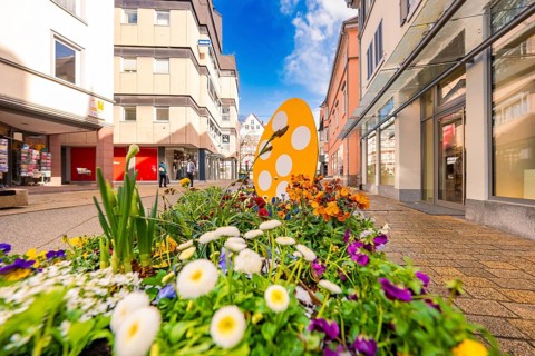 Colourful flowers with orange egg in a sunny pedestrian zone, Nagold, Calw district, Germany
