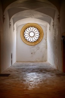 Interior view, Courtyard, Cloister of the Charterhouse, Iglesia de la Cartuja, Real Cartuja (Royal