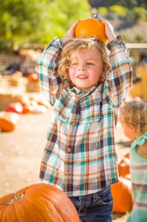 Little Boy Standing in a Rustic Ranch Setting at the Pumpkin Patch