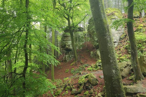Devil's Gorge, rock formations in the forest, nature photography, Irrel, Südeifel, Eifel,