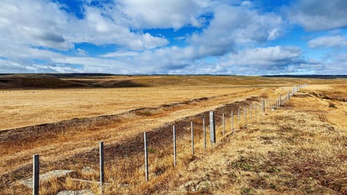 Wide golden meadow under a blue sky with clouds and a long fence in the foreground, The endless