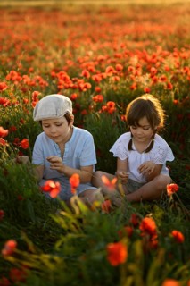 A boy and girl, siblings, sit amidst a lush field of Papaver rhoeas, commonly known as red poppies