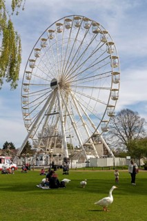People and geese, Ferris wheel, Recreation Ground, Stratford-upon-Avon, Warwickshire, England,