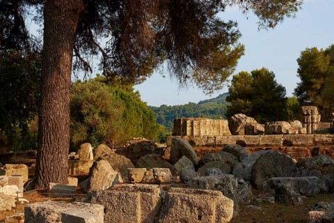 Ancient stones and fragments under trees in a ruined site, Archaeological Site, Ancient Olympia,