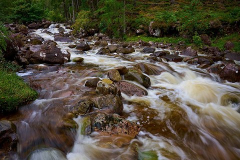 The river flows over large stones through a green forest, Scotland, United Kingdom, Great Britain