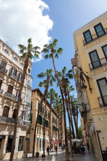 Historic street with tall palm trees between elegant buildings and blue sky, Malaga, Spain