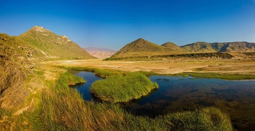 Landscape in Oman, mountains, Wadi Ashawq, road, reeds, waters Salalah, Al Mughsyal / Wadi Ashawq,