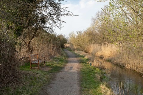 Footpath by a river, RSPB Fowlmere nature reserve, Cambridgeshire, England, United Kingdom
