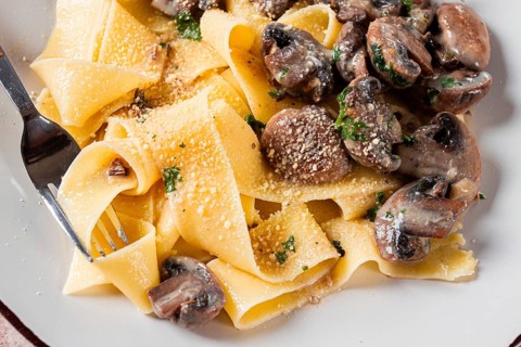 Delicious pappardelle pasta with mushrooms and cream served on a white plate