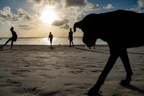 Silhouette of a dog walking on a tropical beach at sunset with local people playing soccer in the