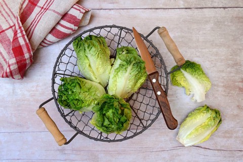 Baby salad, salad in basket with knife