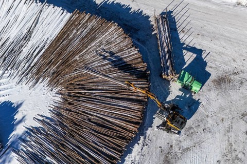 Heavy machinery unloading a lumber truck, Region of La Mauricie, Province of Quebec, Canada
