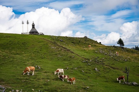 A wide panoramic view of a traditional shepherd village with unique wooden chapel scattered across