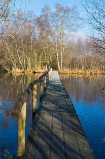 Bridge, De Deelen, landscape conservation area, nature reserve, Luinjeberd, Lúnbert, Heerenveen,