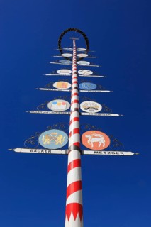 Guild tree in the city centre of Bayreuth, Bayreuth, Upper Franconia, Bavaria, Germany